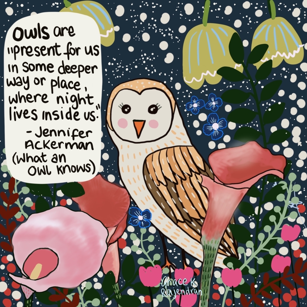 An illustration of an owl by artist Grace Rajendran, featuring a quote from author Jennifer Ackerman ("What An Owl Knows").