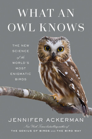 Book cover of "What An Owl Knows" by Jennifer Ackerman.